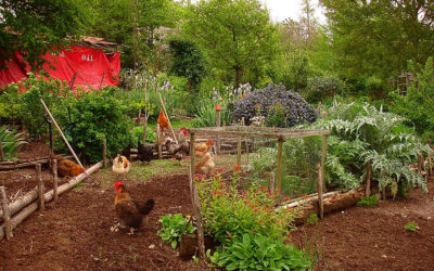 Septième Printemps du Développement Durable de la Commune de Forest